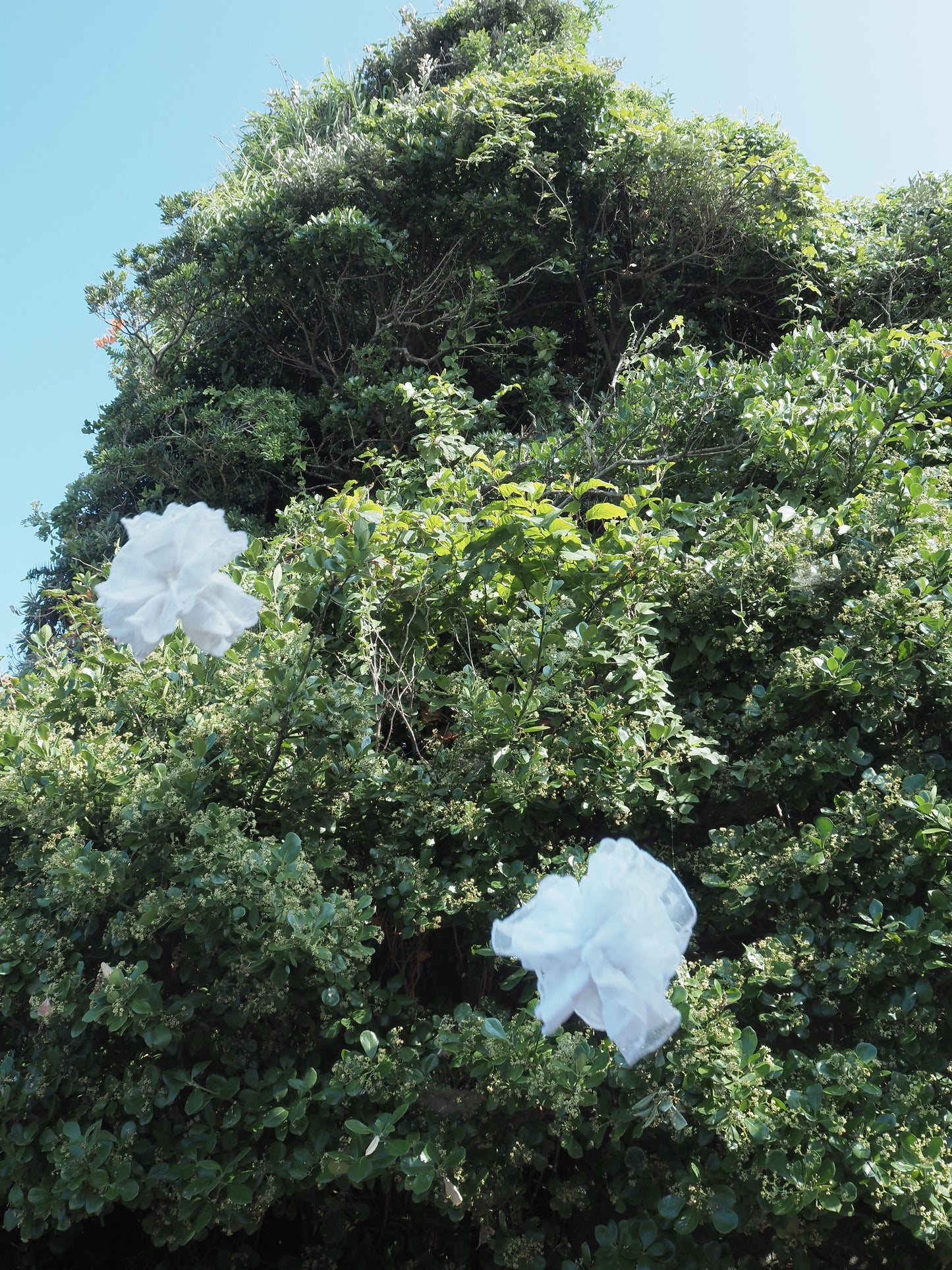 Flower lace chou chou