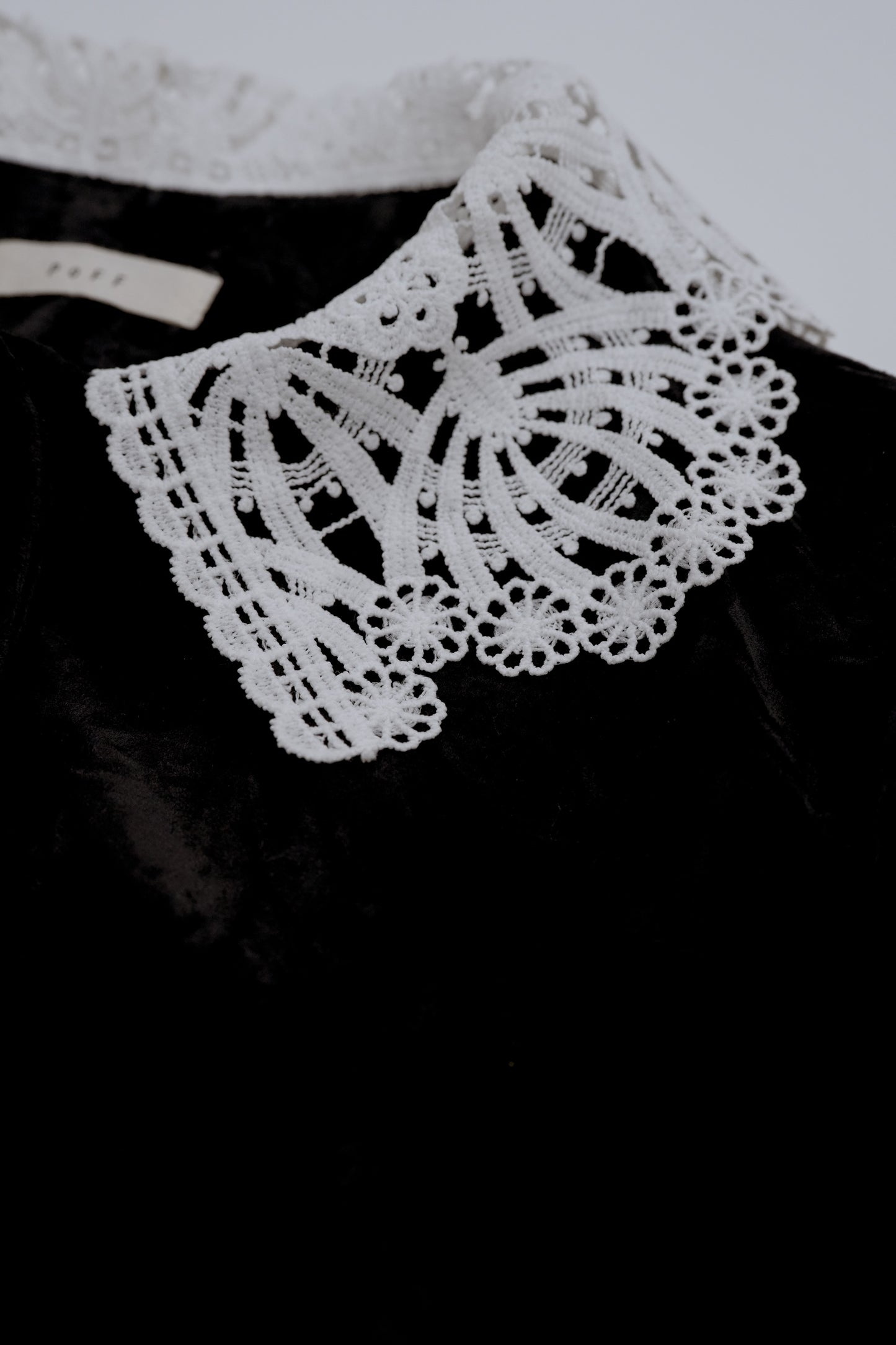 Lace collar velour cardigan / black