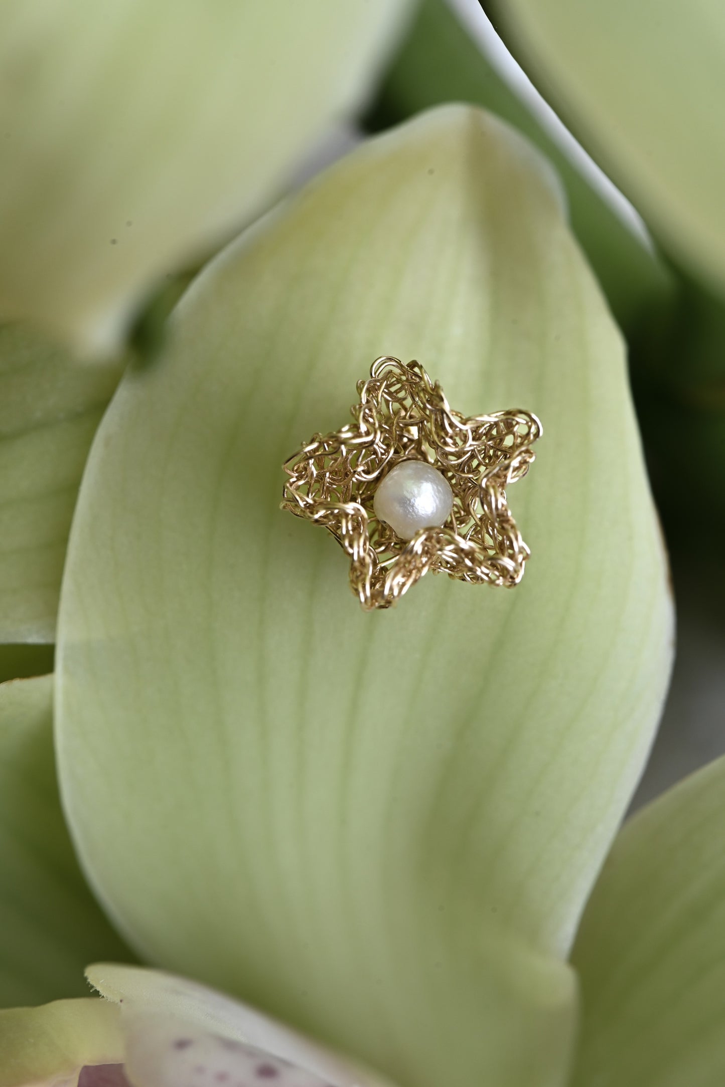 Star Flower Earrings / gold