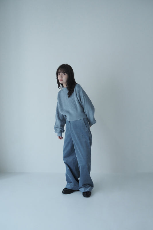 corduroy wide pants / sax