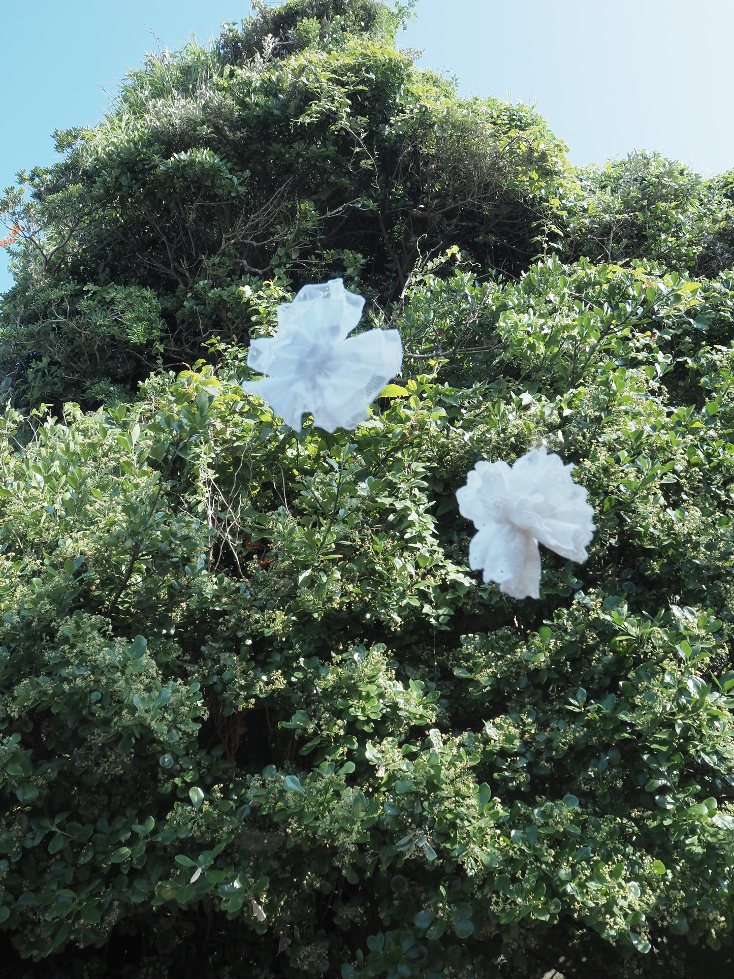 Flower lace chou chou