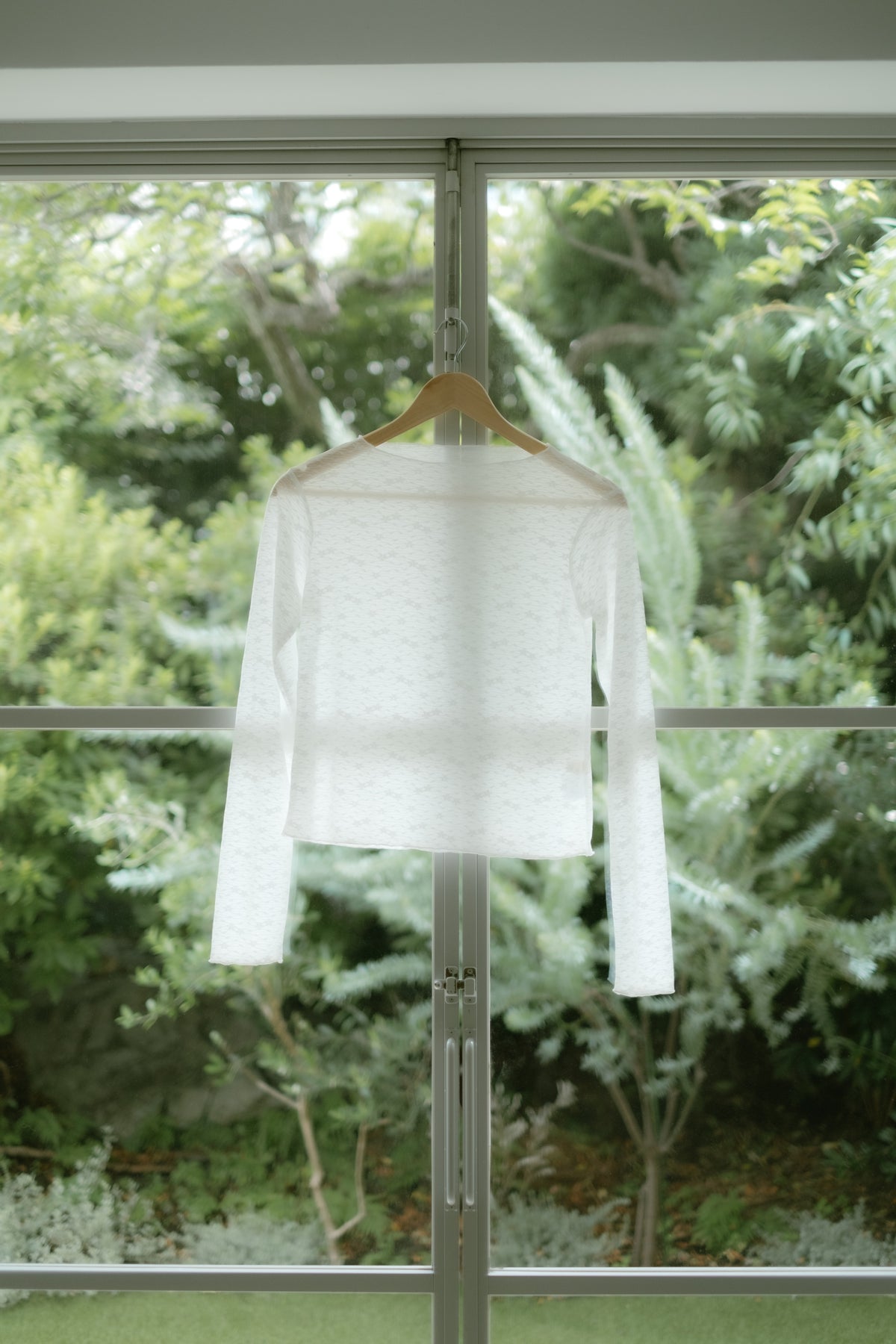 Classic sheer lace tops / White