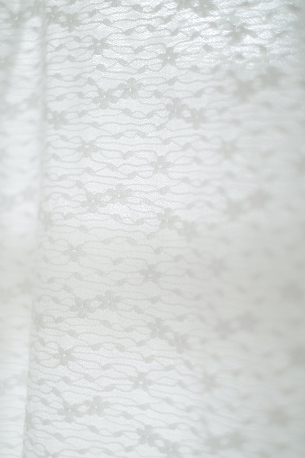 Classic sheer lace tops / White